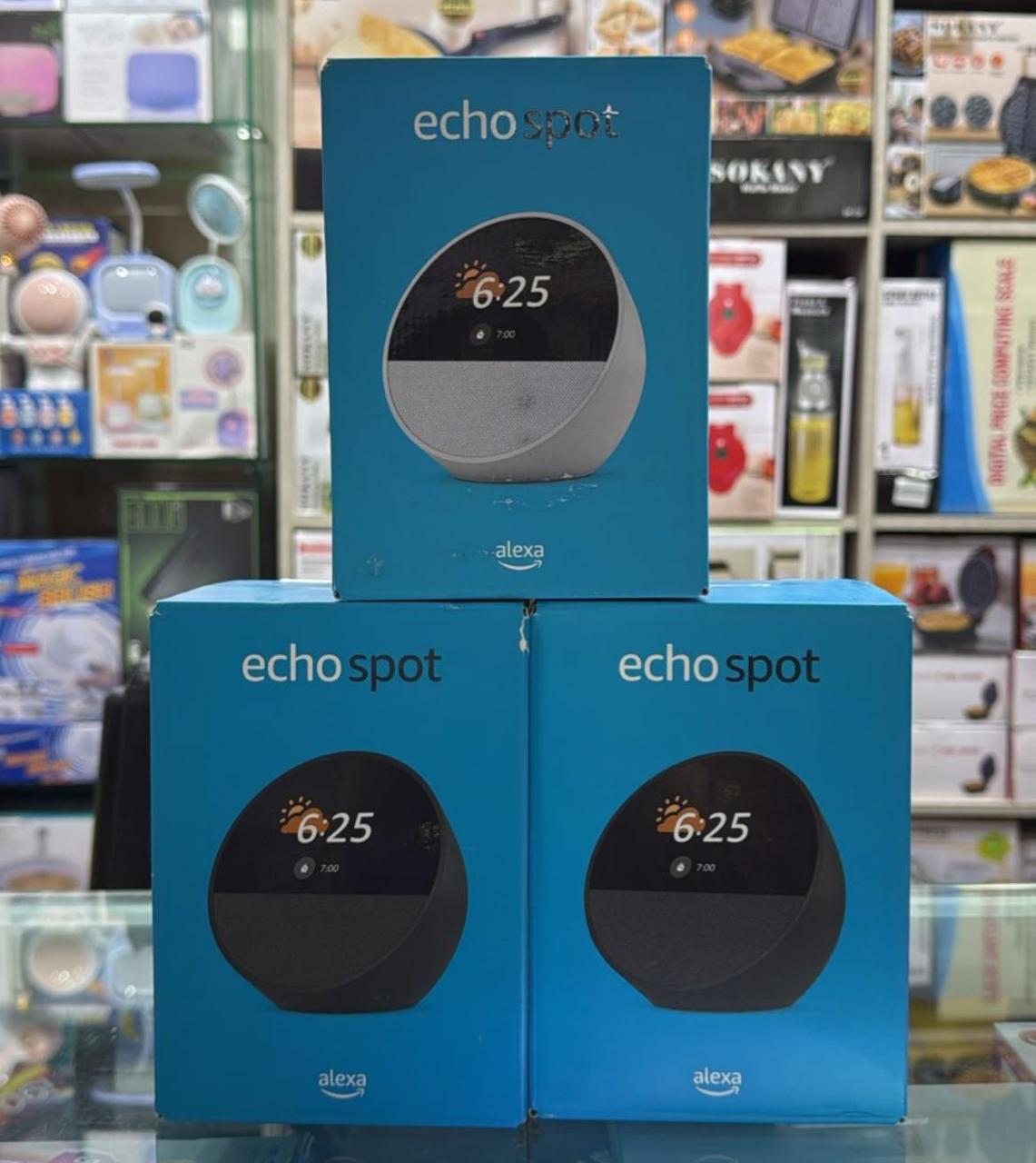 🕘 Alexa Echo Spot